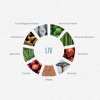 Digestión Mejorada - Liv (280g)